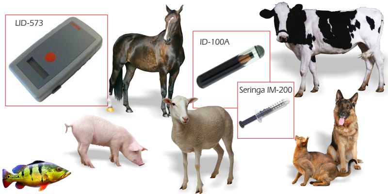 rfid para animais trovan transponder microchip
